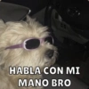 HABLA CON MI MANO BRO