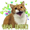 YAA WEEE!