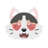 Pack de gatita graciosa 12