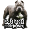 No te hagas pndejo wey