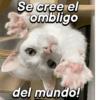 Se cree el ombligo del mundo!