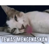 TEWAS MENGENASKAN
