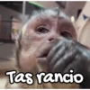Tas rancio