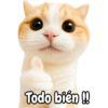 Frases de gatito #2🐱💬 7