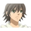 Junjou Romantica 8