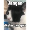 VA Jangan Nu dketin cwe gwe Serving se Capes Cal