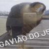 Reações com shitposts 13