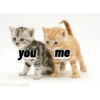 Fer_gie 9