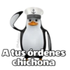 @ballolet888 A tus órdenes chichona