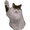 Poñoñoin 20