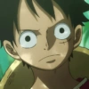 Luffy 21