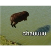 chauuuu