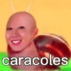caracoles