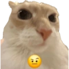 Michis Caóticos🐱 14