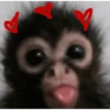 Bebes 24