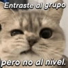 Entraste al grupo pero no al nivel.
