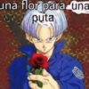 una flor para una puta