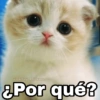 ¿Por qué?