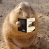 🤎 CAPYBARA MOODS 🤎 14