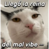 Llegó la reina del mal vibe...