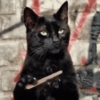 😺 GATOS MOODS 😺 12
