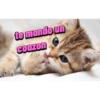 Fer_gie 6