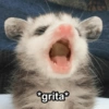 *grita*
