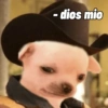 Fofos 🐾 8