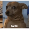 11:11 Ayno