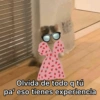 Gatitos 6
