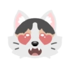 Pack de gatita graciosa 10