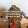 Tumba la casa mami😎 5
