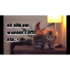 Fer_gie 8