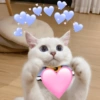 💖💞Love Reactions 4💞💖 7