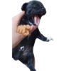 Memes para compartir 🤙 5