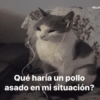 Qué haría un pollo asado en mi situación? Michi