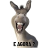 Burro 5