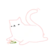 Flower cat fairy 16