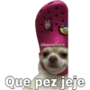 @baewhorx Que pez jeje