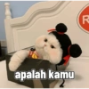 Kucing imlek 12