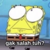 gak salah tuh?
