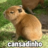 cansadinho
