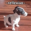 MEMEZINHOS QUE EU GOSTO 🤩 9