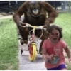 Hum 9