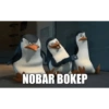 NOBAR BOKEP
