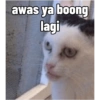 awas ya boong lagi