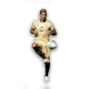 7 GOL