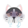 Pack de gatita graciosa 2 5