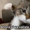 Ahora si ya valiste