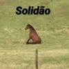 Solidão